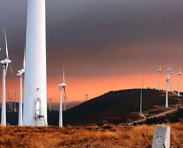 Фото Global Wind Energy Council.